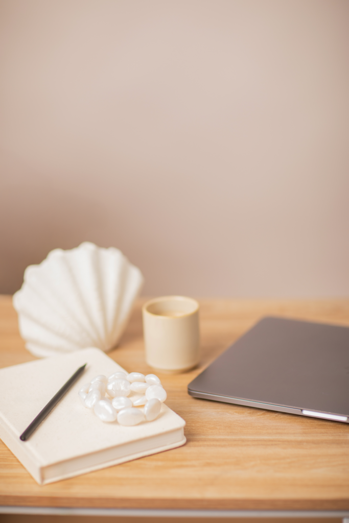 brume marine web webdesigner freelance