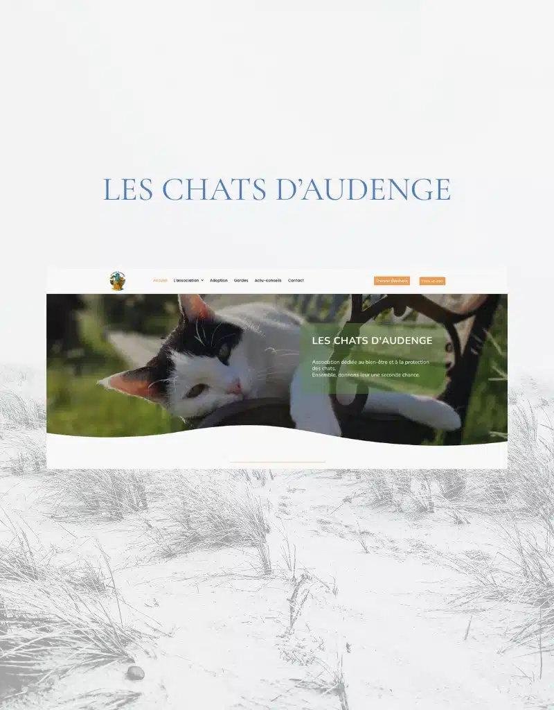 création site web association